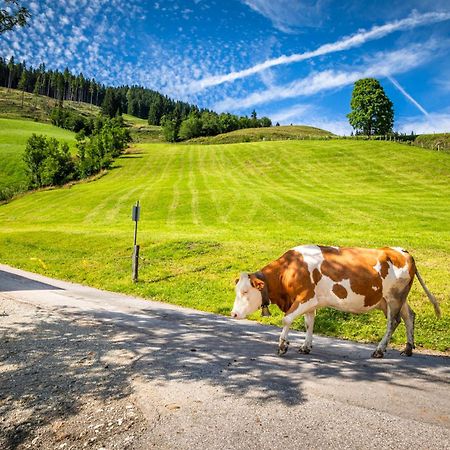 Bauernhaus Bichl Sankt Johann im Pongau Eksteriør billede