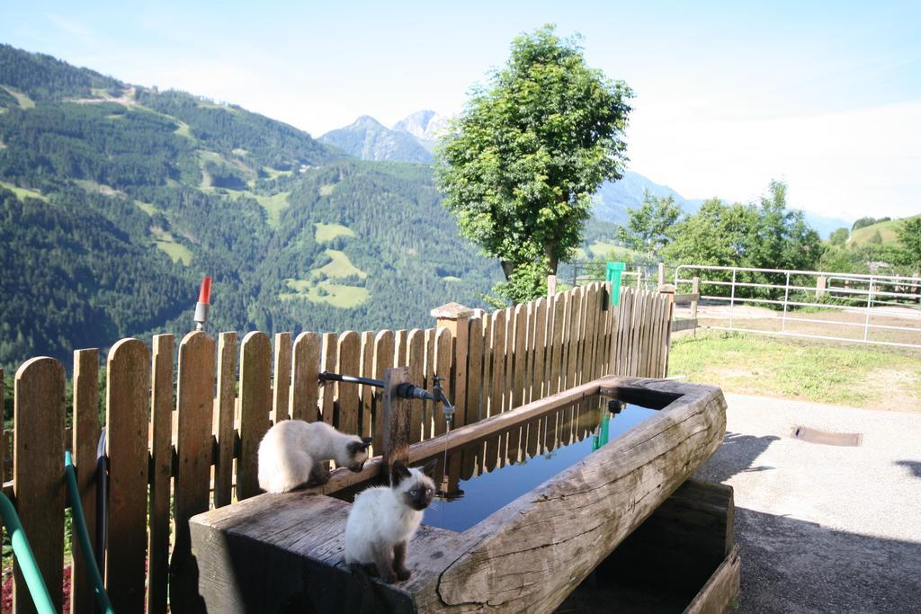 Bauernhaus Bichl Sankt Johann im Pongau Eksteriør billede